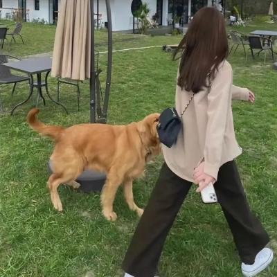 智能逆袭